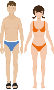 Underweight Body