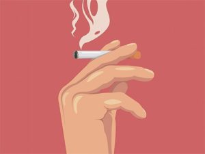 7 ошибок на диете - Зожник 7 ошибок на диете - Зожник
