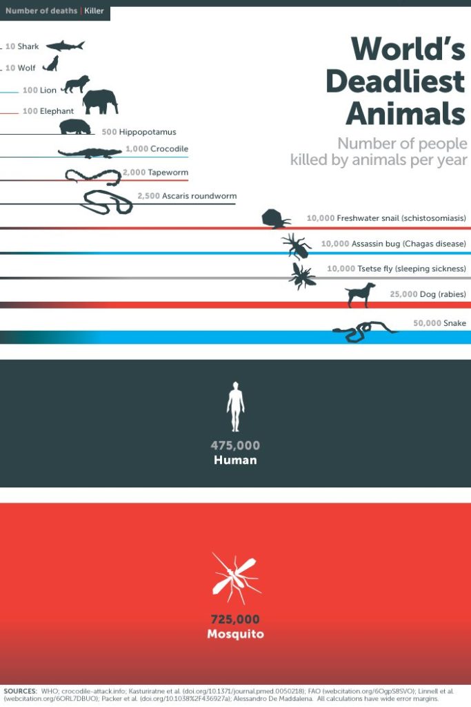 7 причин, почему комары кусают намного чаще некоторых людей