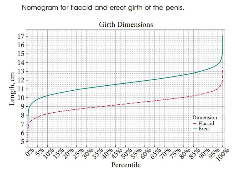 Как правильно измерить размеры пениса и подобрать презерватив