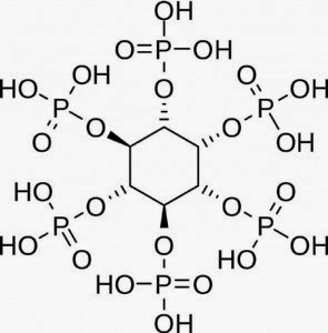 Фитиновая кислота: антинутриент из злаков, бобов и семечек