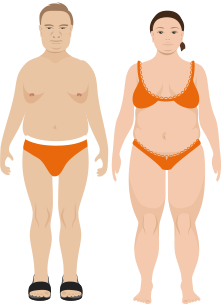 Overweight Body