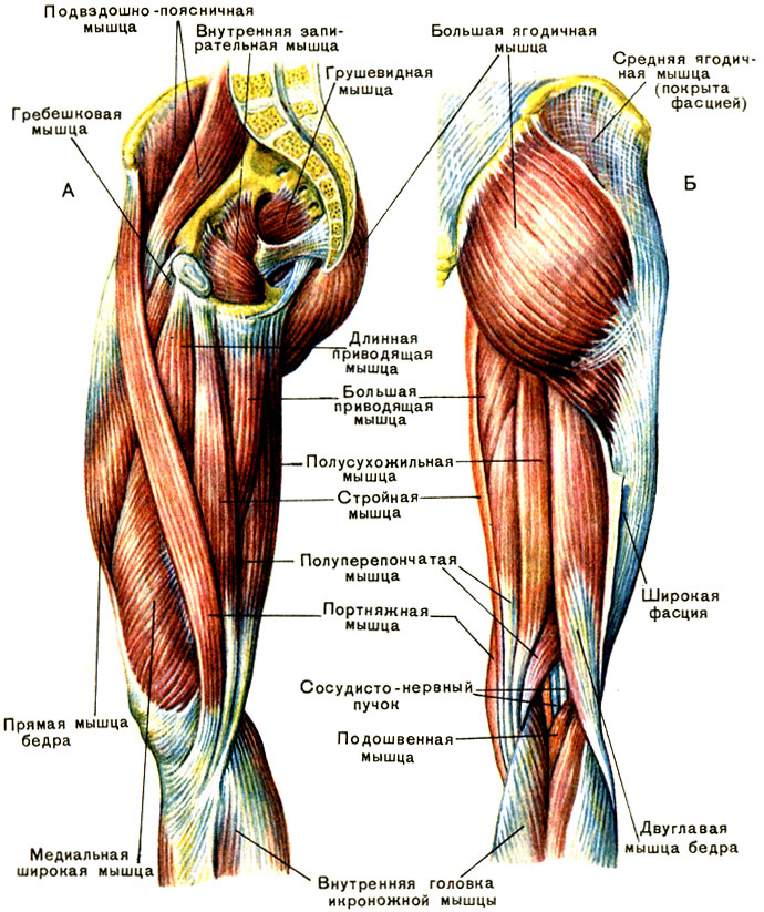 Тренировка мышц бедра при травме колена