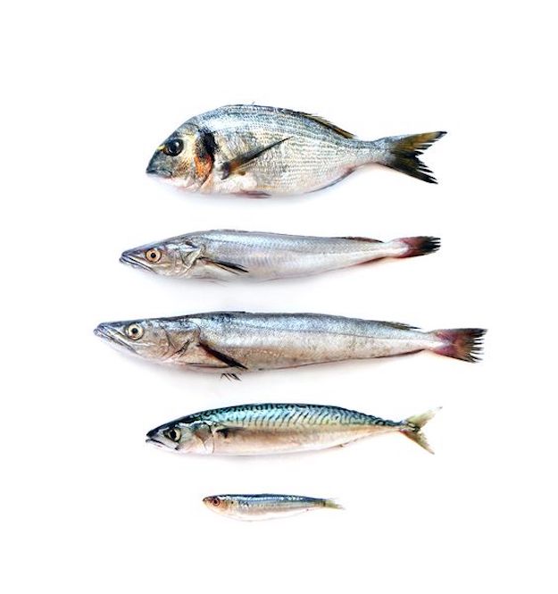 Можно ли рыбу заменить рыбьим жиром