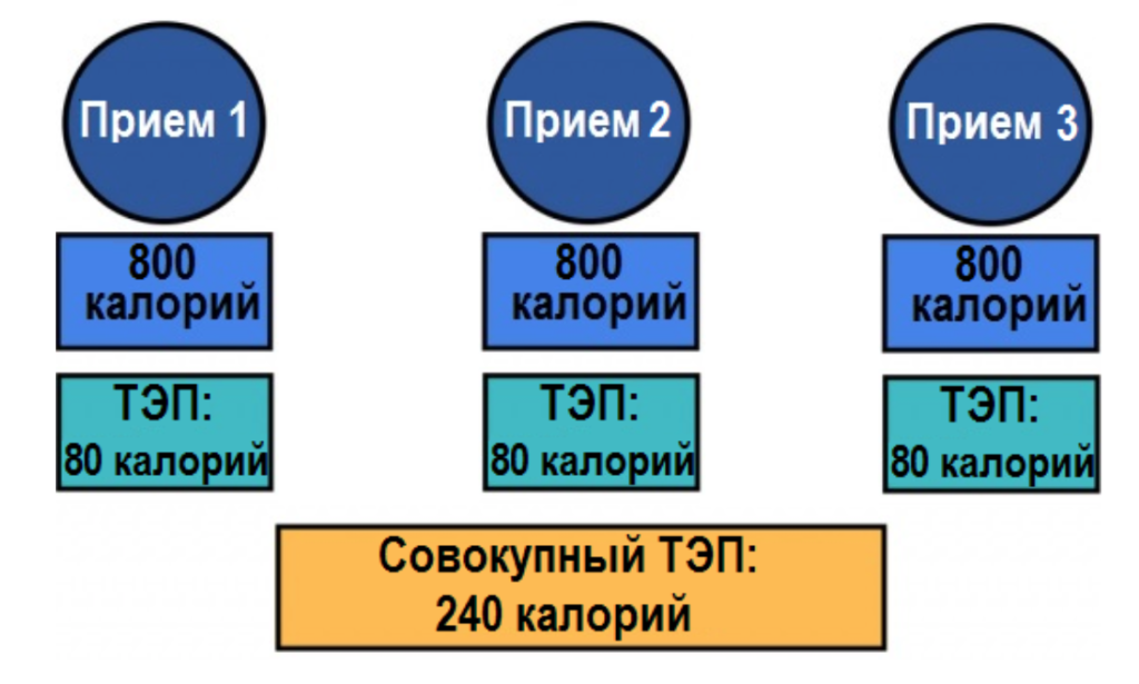 Сайт зожник калькулятор