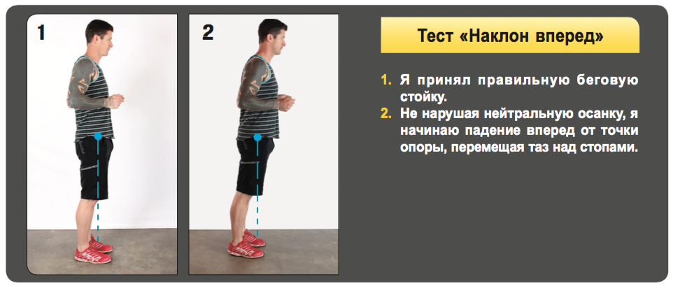 Вперед как правильно. Осанка падение вперед. Тело падает вперед. Бег и осанка. Остановленное падение тела осанка.