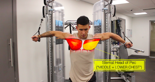 Программа тренировки для грудных мышц груди