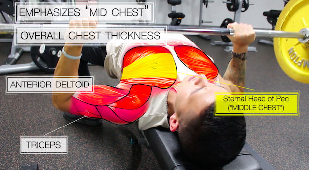 Тренировка на грудные мышцы график thumbnail