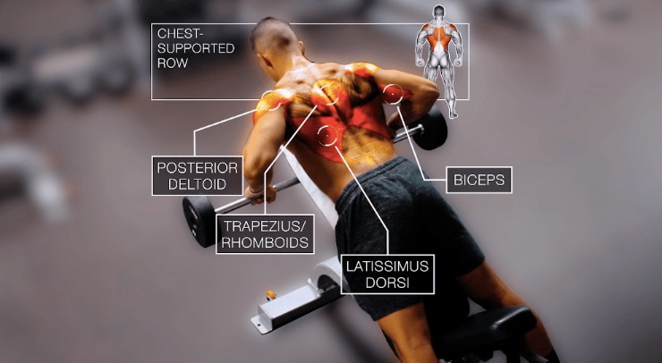 Программа тренировок на все мышцы тела thumbnail