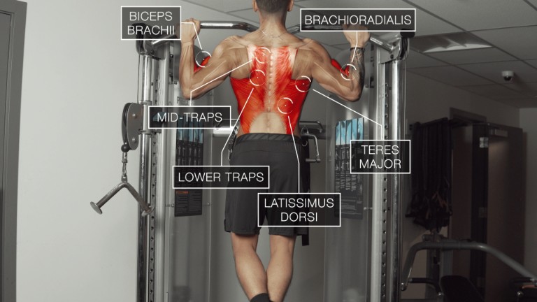 Программа тренировок на все мышцы тела