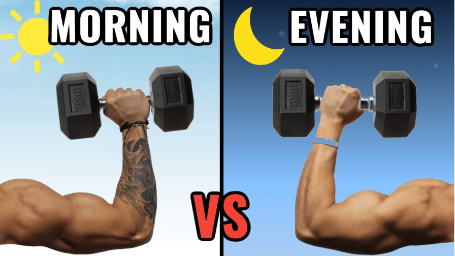 Лучшее время для тренировки: утро или вечер?