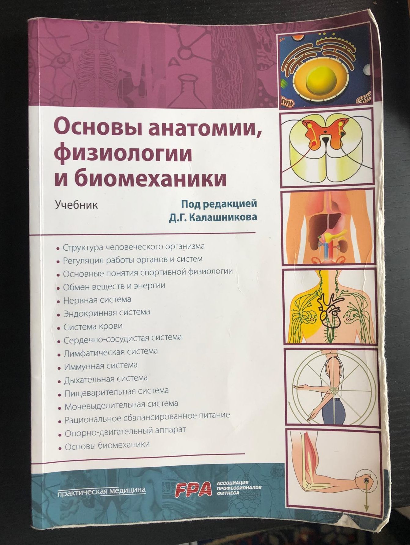 Анатомия и физиология человека основные. Основы анатомии и физиологии. Ос5овы анатомии и физиоло. Анатомия биомеханика физиология.