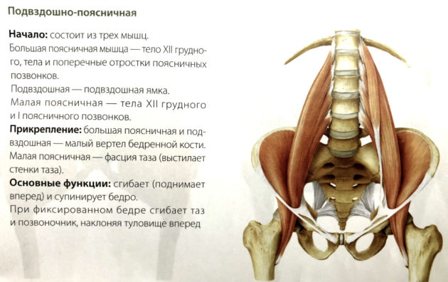 Наклон туловища вперед методический план мчс