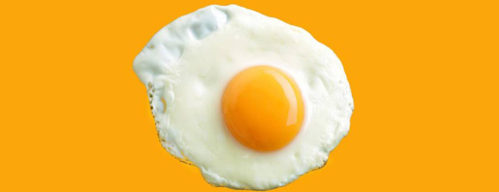 Исследования о вреде и пользе яиц