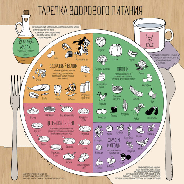 Тарелка здорового питания рисунок