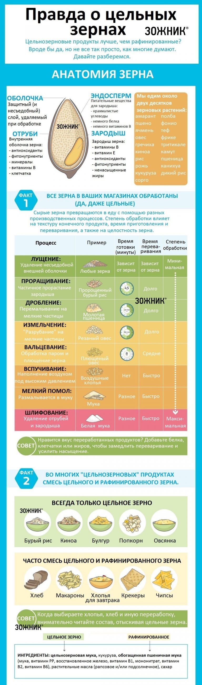 Зожник | Цельнозерновые продукты или рафинированные – что лучше?